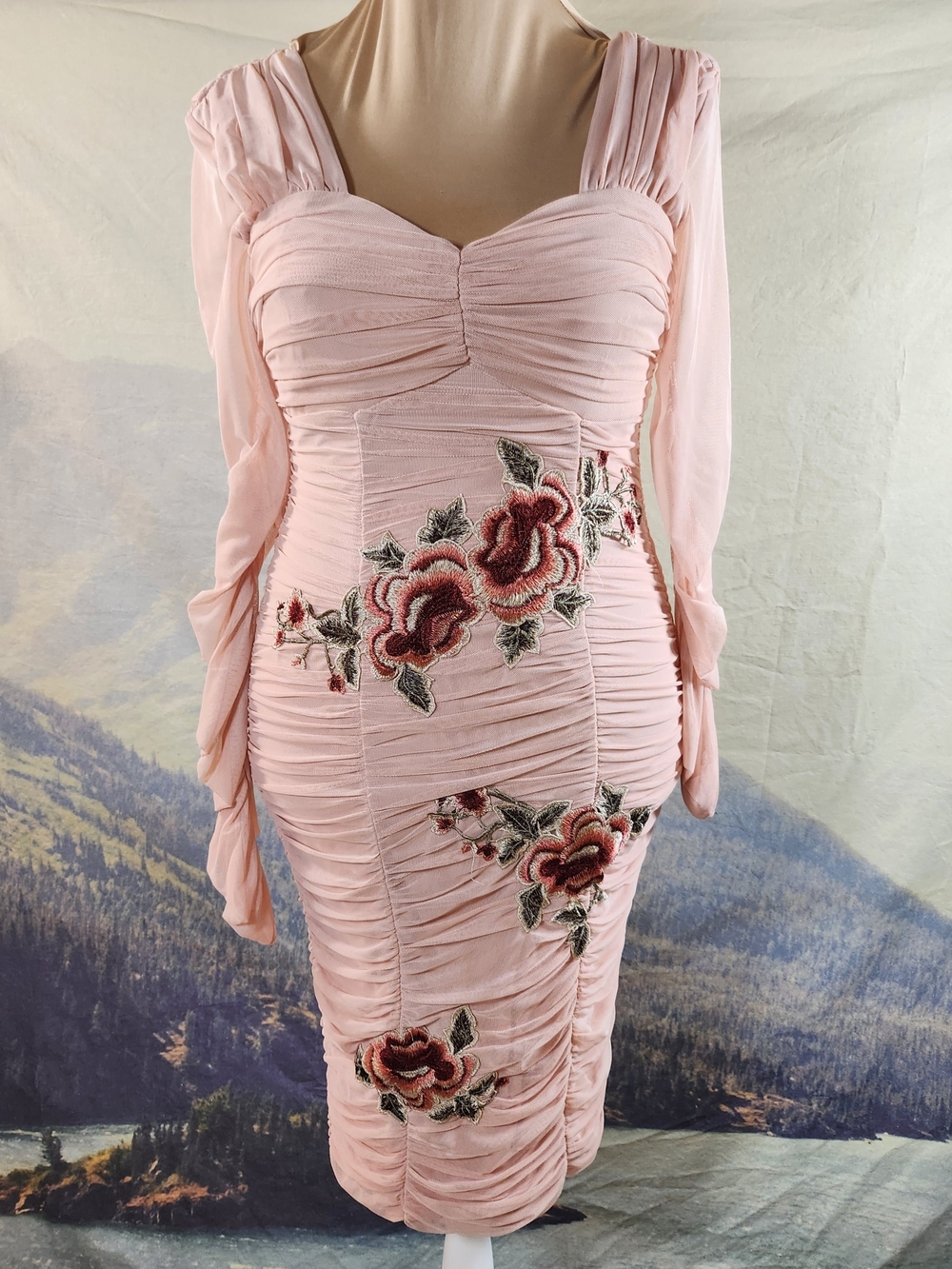 Rose Embroidery Pink Ruched Mesh Bodycon Long Sleeve Dress 10